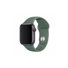 COTECi silikonový sportovní náramek pro Apple watch 38 / 40 mm jehličnatá zelená
