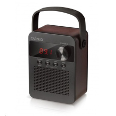 CARNEO F90 FM rádio, bluetooth reproduktor, black/wood