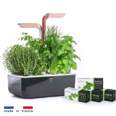 Véritable SMART - Automatický květináč s regulací osvětlení, černá měděná + 4 bylinkové náplně Véritable SMART - Automatický květináč s regulací osvětlení, černá měděná + 4 bylinkové náplně