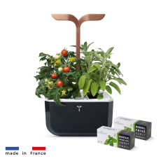 Véritable Exky SMART - Automatický květináč s regulací osvětlení, černá měděná + 2 bylinkové náplně Véritable Exky SMART - Automatický květináč s regulací osvětlení, černá měděná + 2 bylinkové náplně