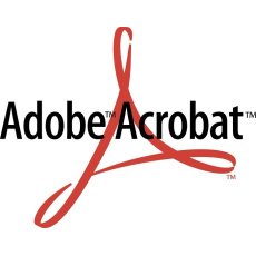 Acrobat Pro 2020 MP PL NEW COM Lic 1+ (540)