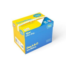Xerox Papír Datacopy 80 A4 (80g/500 listů) Xerox Papír Datacopy 80 A4 (80g/500 listů)