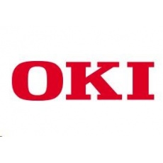 Oki Paměť 256MB pro C321/330/331/530/531/610/612/711/712/822/831/841/MC342/342w/351/352/361/362/561/562/B840 Oki Paměť 256MB pro C321/330/331/530/531/610/612/711/712/822/831/841/MC342/342w/351/352/361/362/561/562/B840