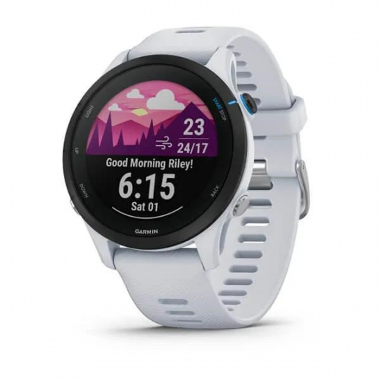 Garmin GPS sportovní hodinky Forerunner® 255 Music, Whitestone