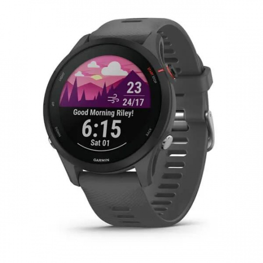 Garmin GPS sportovní hodinky Forerunner® 255, Slate Gray