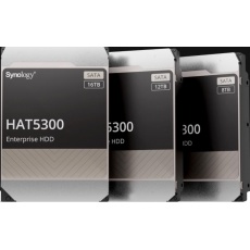 Synology HAS5300-12T (12TB, SAS 12Gb/s, 256MiB) Synology HAS5300-12T (12TB, SAS 12Gb/s, 256MiB)