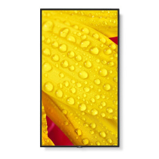 SHARP/NEC MultiSync ME432 LCD 43", IPS, LED, 3840x2160, 400nit, 1200:1, 8ms, 18/7, HDMI, LAN, USB, Mediaplayer SHARP/NEC MultiSync ME432 LCD 43", IPS, LED, 3840x2160, 400nit, 1200:1, 8ms, 18/7, HDMI, LAN, USB, Mediaplayer