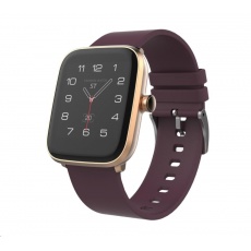 iGET FIT F20 Gold iGET FIT F20 Gold