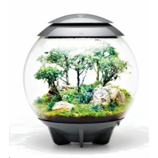 Terarium BIORB AIR sede 60l