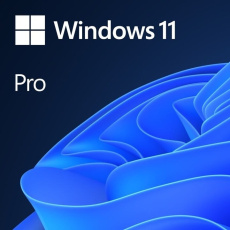 Windows 11 Pro 64Bit ENG OEM